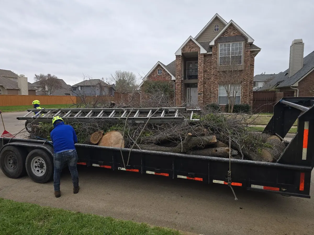 Expert Tree Pest Control with proper safety equipment in North Wilkesboro